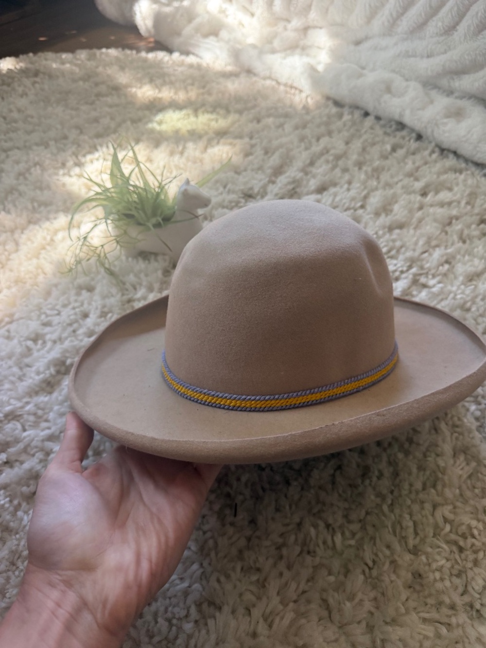Soft Neutral Buffalo days Regina Tan Felt Ranch Hat with Decorative Cord 7 3/4 t